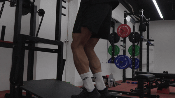 3ce41ad957814b119ddd0e374d012a31_1760408067_2707.gif